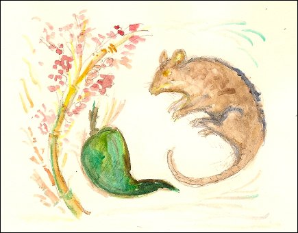 Bamboo blossom and rat